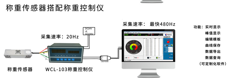 301L稱(chēng)重電腦端顯示_03